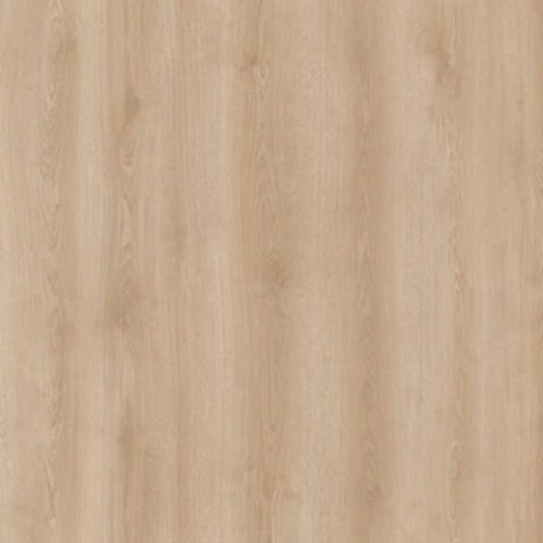Belgrad Eiken Laminaat 10 mm Camsan Platinum