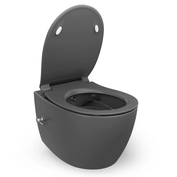 Wandcloset met bidet antraciet, geintegreerde kraan koud, randloos, inclusief softclose toiletbril 1