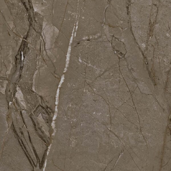 NG Kutahya Sierra Vizon 60x120 cm Mat Mink Steenlook Vloer en Wandtegel